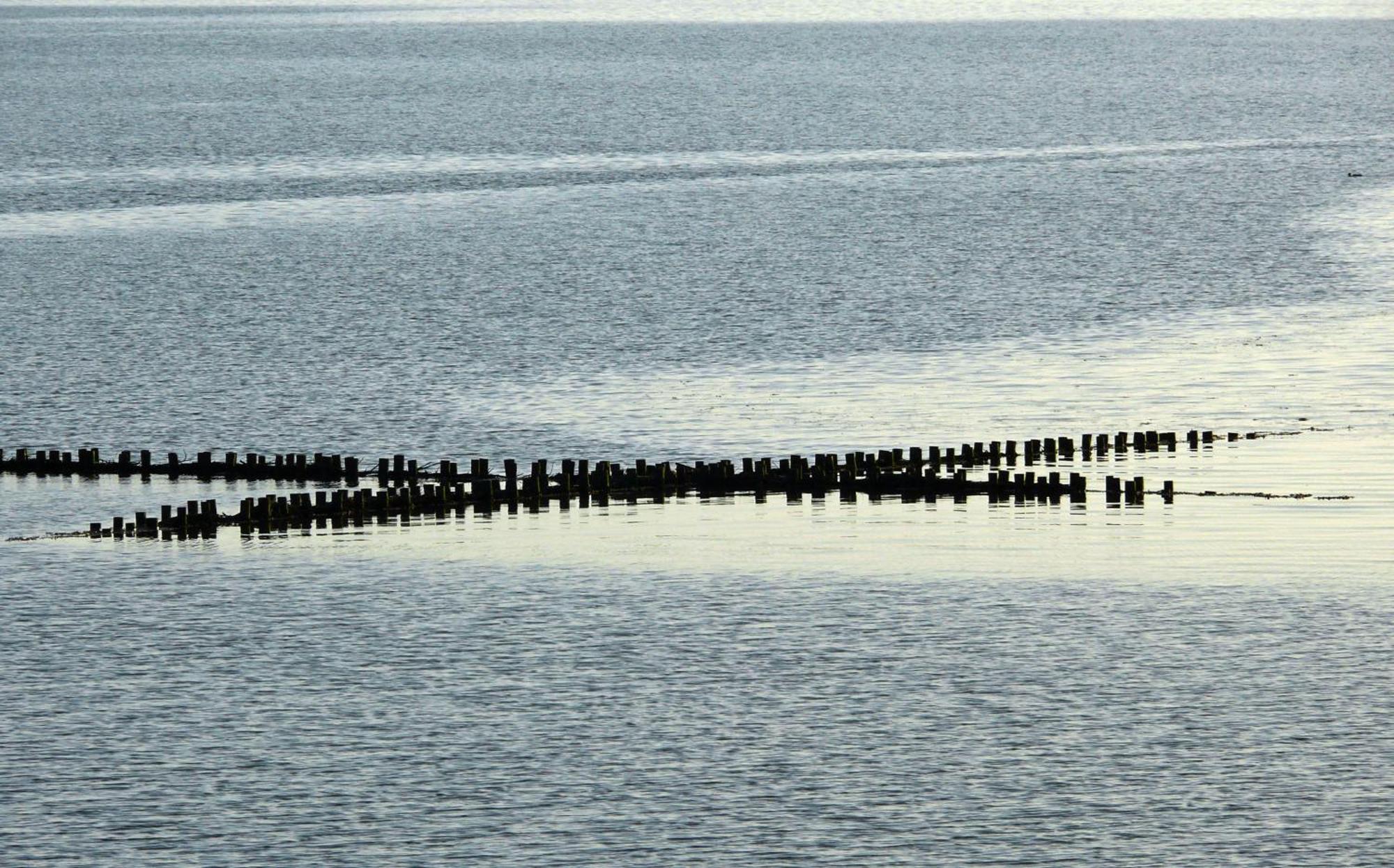 Haus Halligblick, Ferienwohnungen Am Wattenmeer, Whg Langenness Dagebüll Zewnętrze zdjęcie