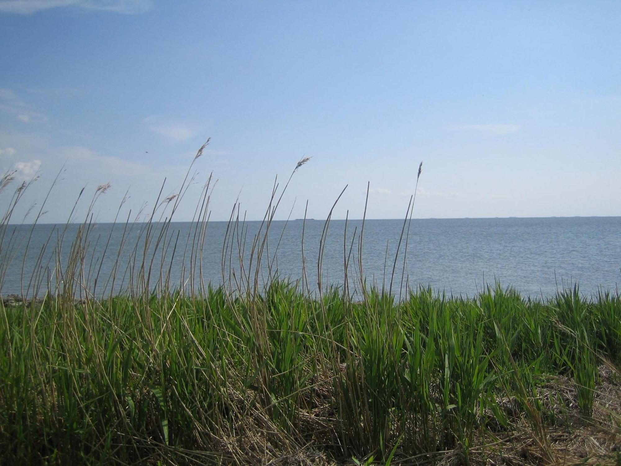 Haus Halligblick, Ferienwohnungen Am Wattenmeer, Whg Langenness Dagebüll Zewnętrze zdjęcie