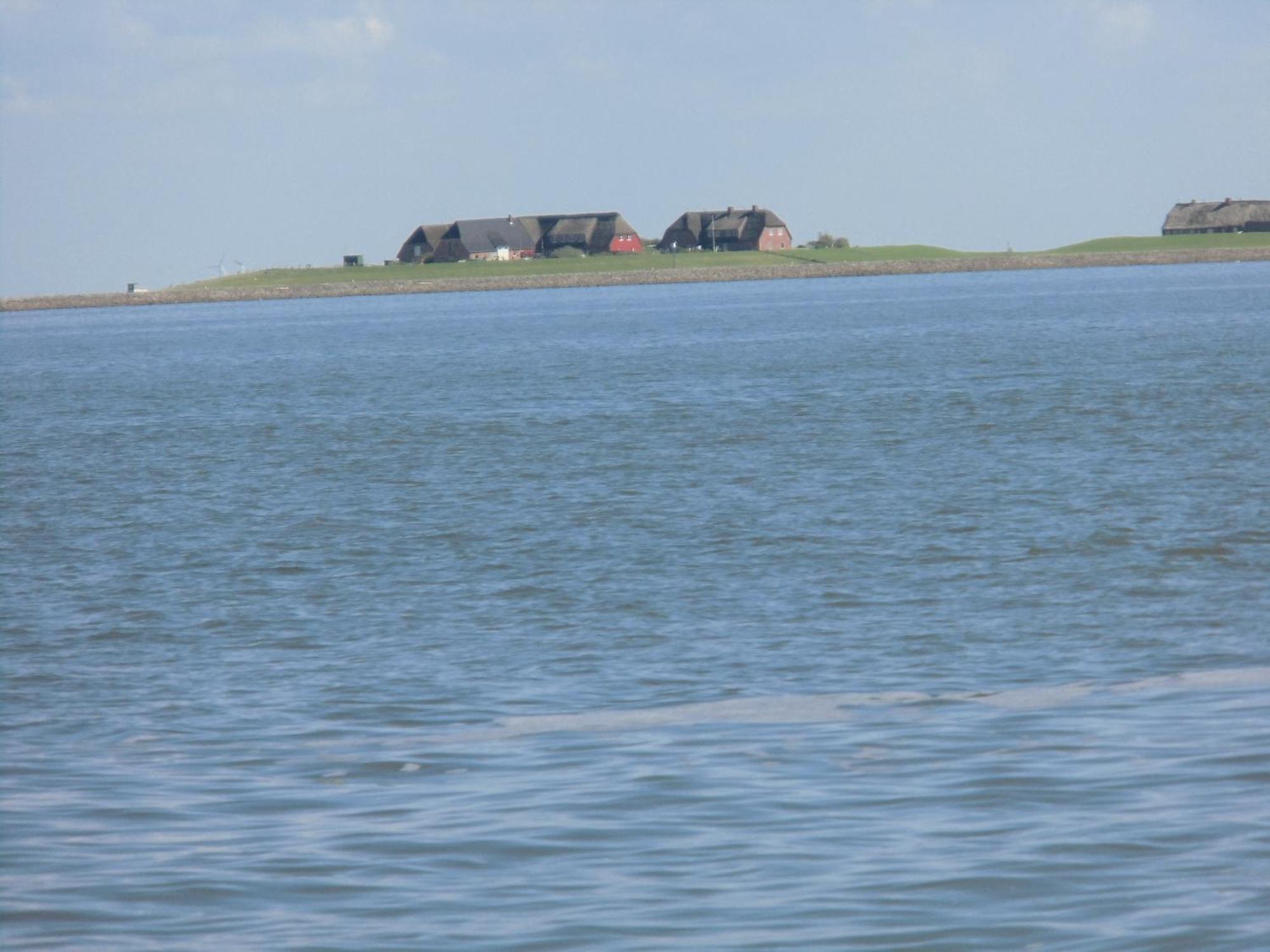 Haus Halligblick, Ferienwohnungen Am Wattenmeer, Whg Langenness Dagebüll Zewnętrze zdjęcie